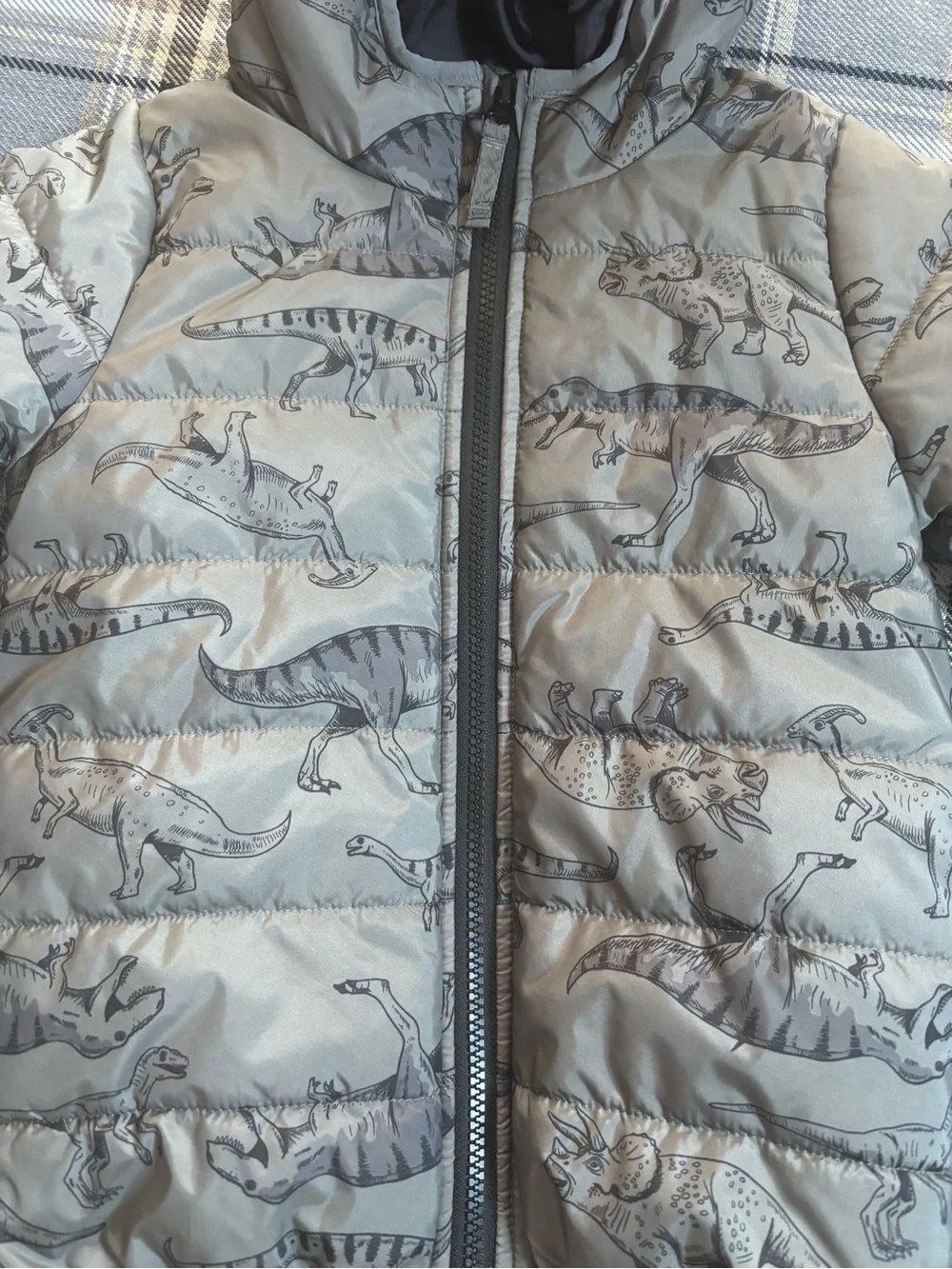 CARTER’S Dinosaur Packable Puffer Jacket